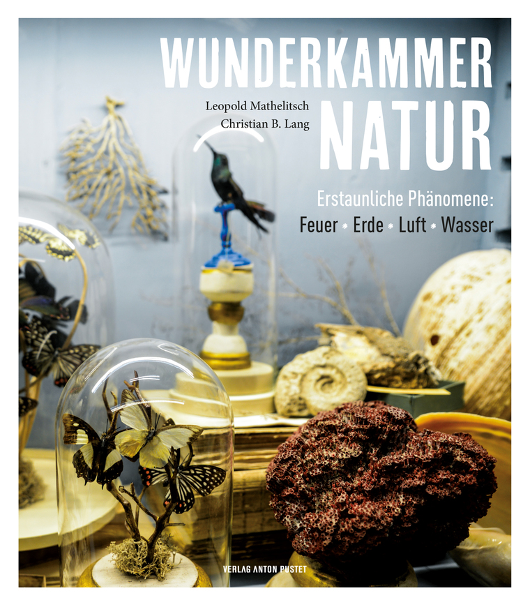 Buchcover Wunderkammer Natur