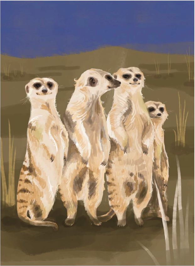 Buchpräsentation „Pepi Schöchls Illustriertes Tierleben“