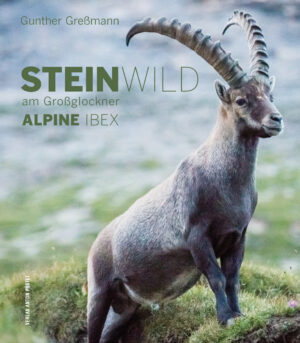 Hardcover Steinwild am Großglockner
