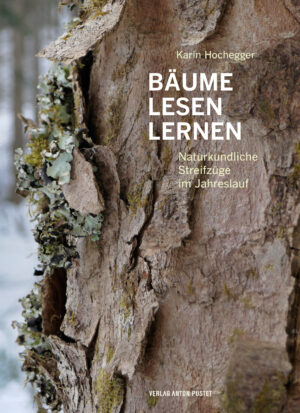 Hardcover Bäume lesen lernen
