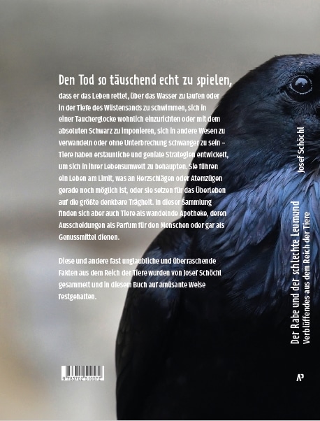 Buch Der Rabe und der schlechte Leumund