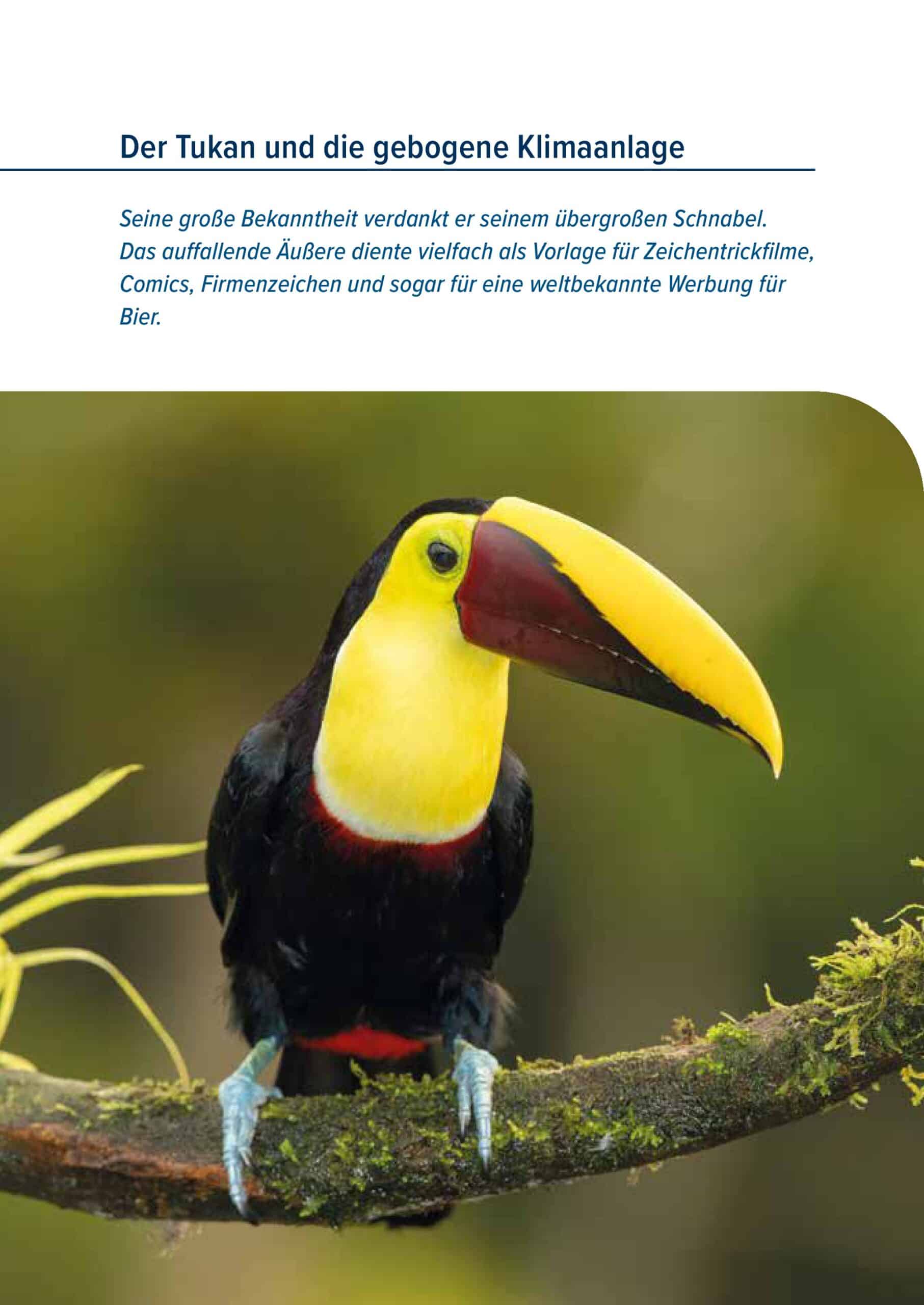 Buch Der Rabe und der schlechte Leumund