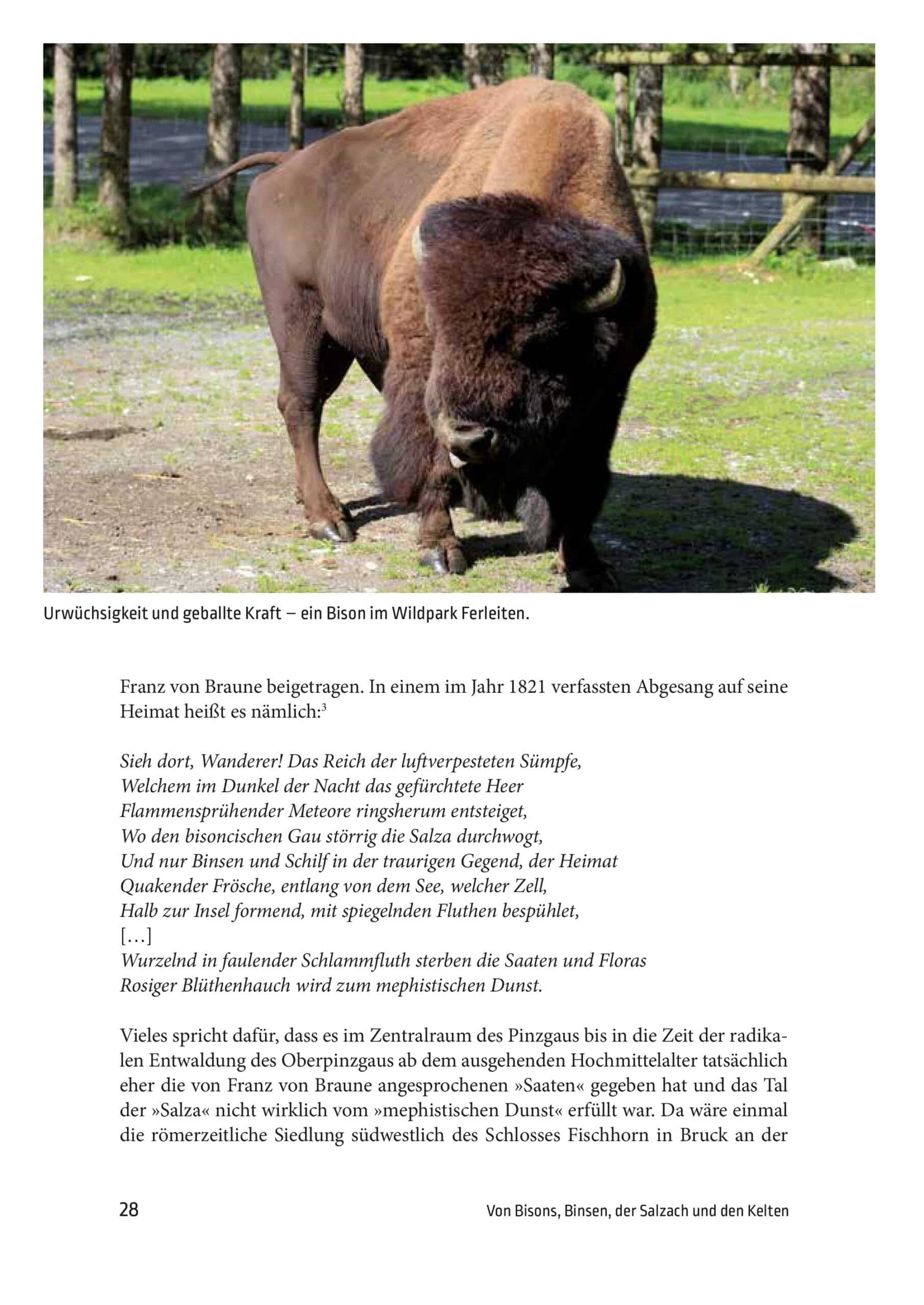 Buch Geschichte des Pinzgaus