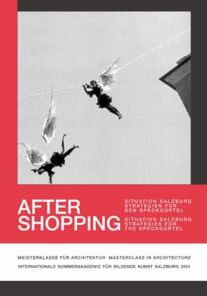 Taschenbuch After Shopping