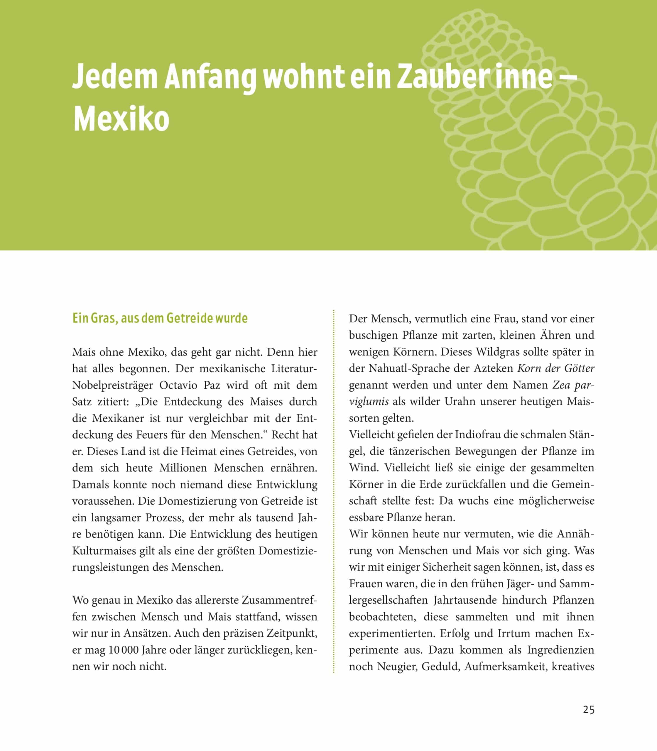 Hardcover Mensch & Mais