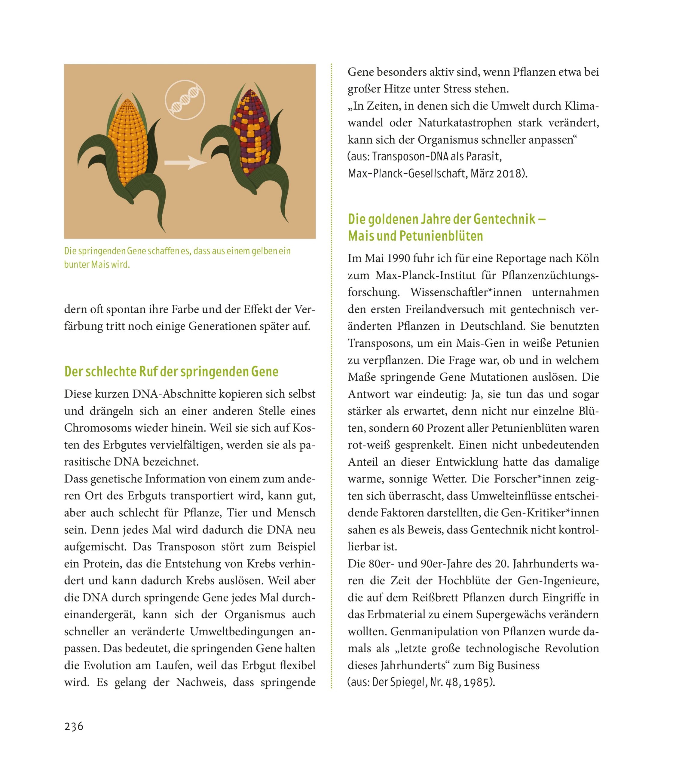 Hardcover Mensch & Mais