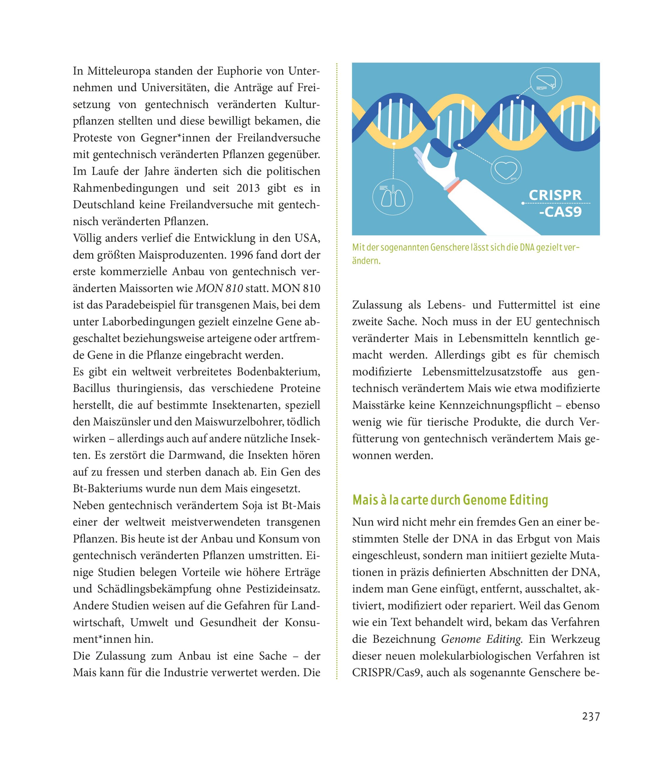 Hardcover Mensch & Mais