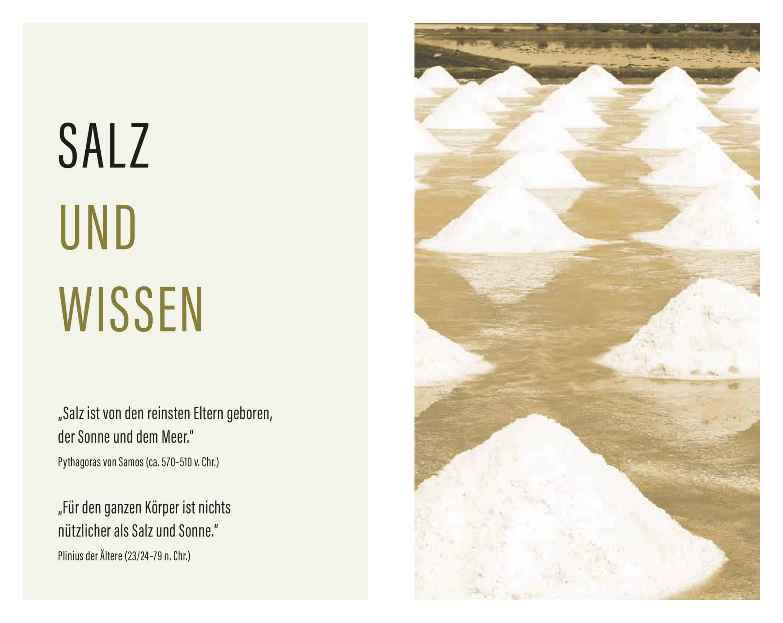 Taschenbuch SALZ MACHT KULTUR