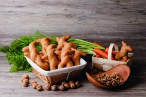 Buch Mein Dinkelbrotglück