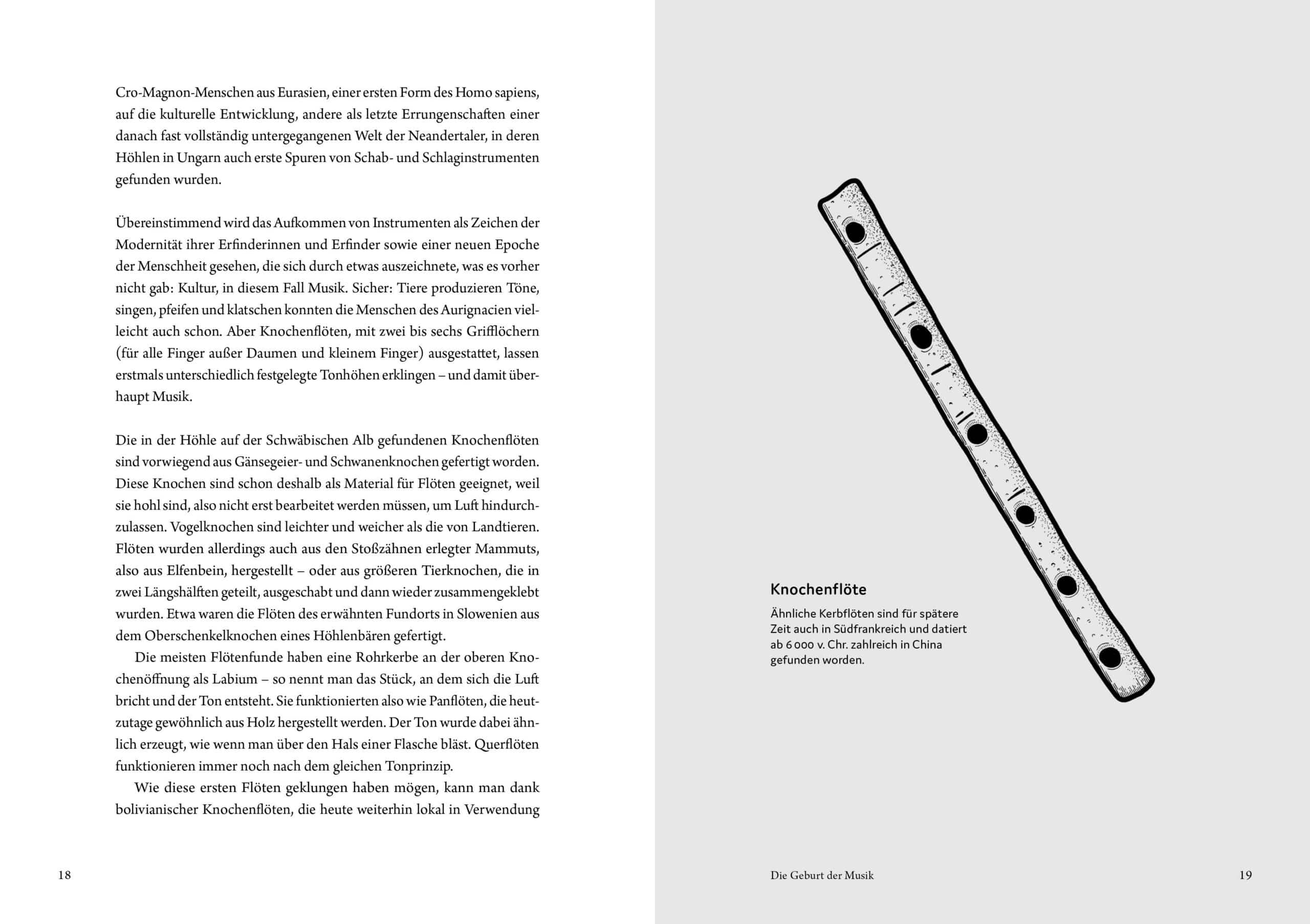 Buch Das Buch der vergessenen Musikinstrumente