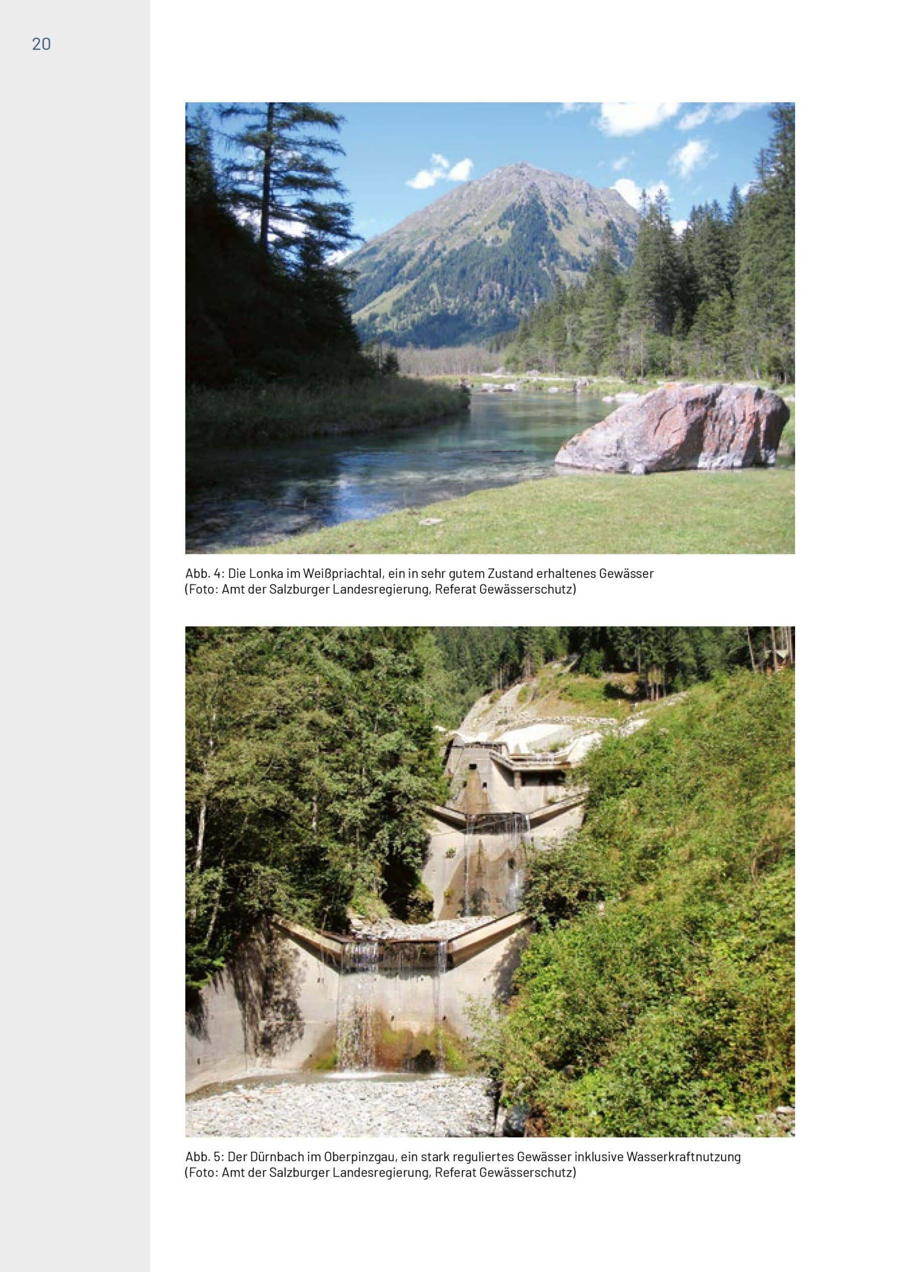 Buch Neunaugen, Fische, Flusskrebse und Großmuscheln in Salzburg