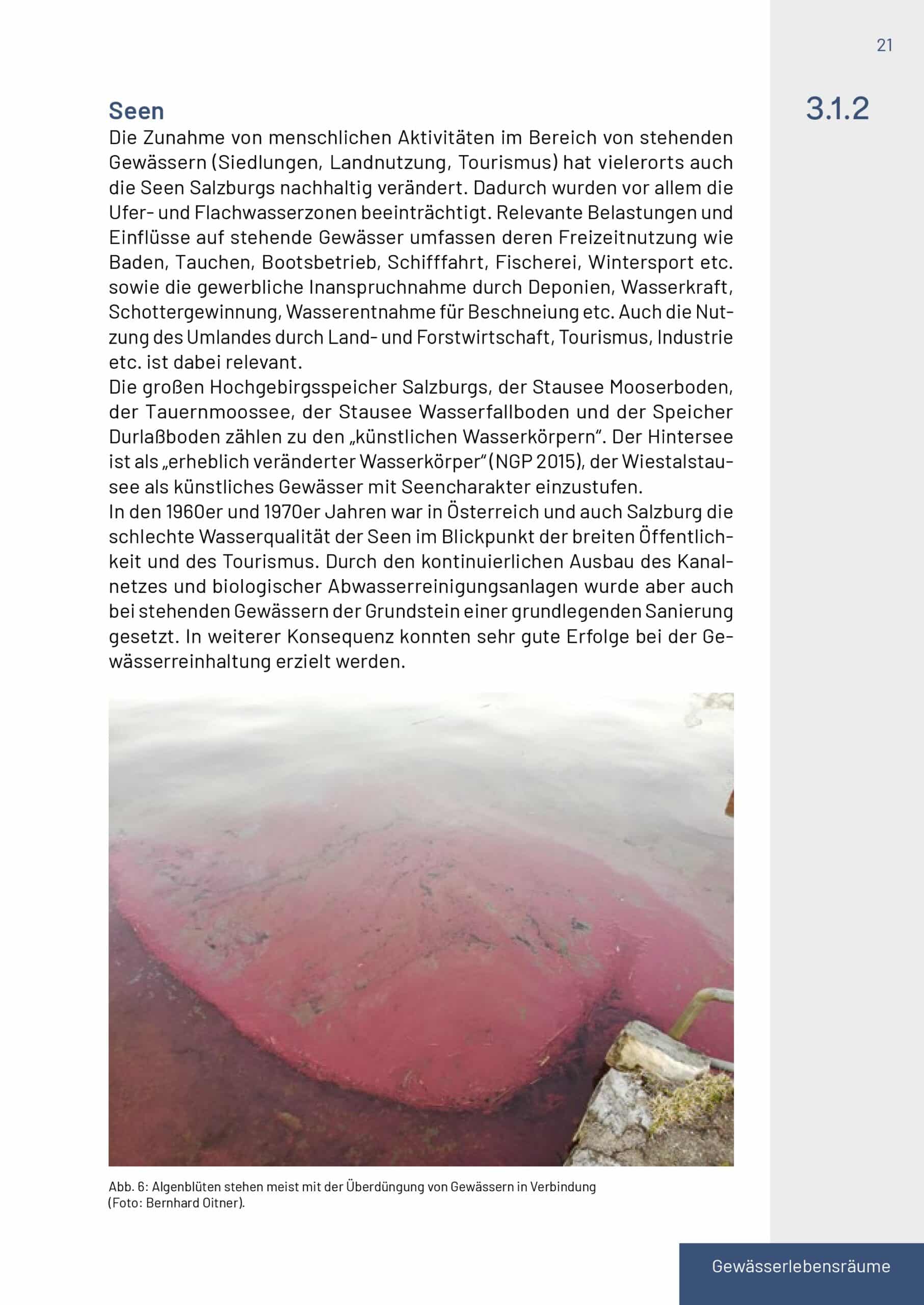 Buch Neunaugen, Fische, Flusskrebse und Großmuscheln in Salzburg