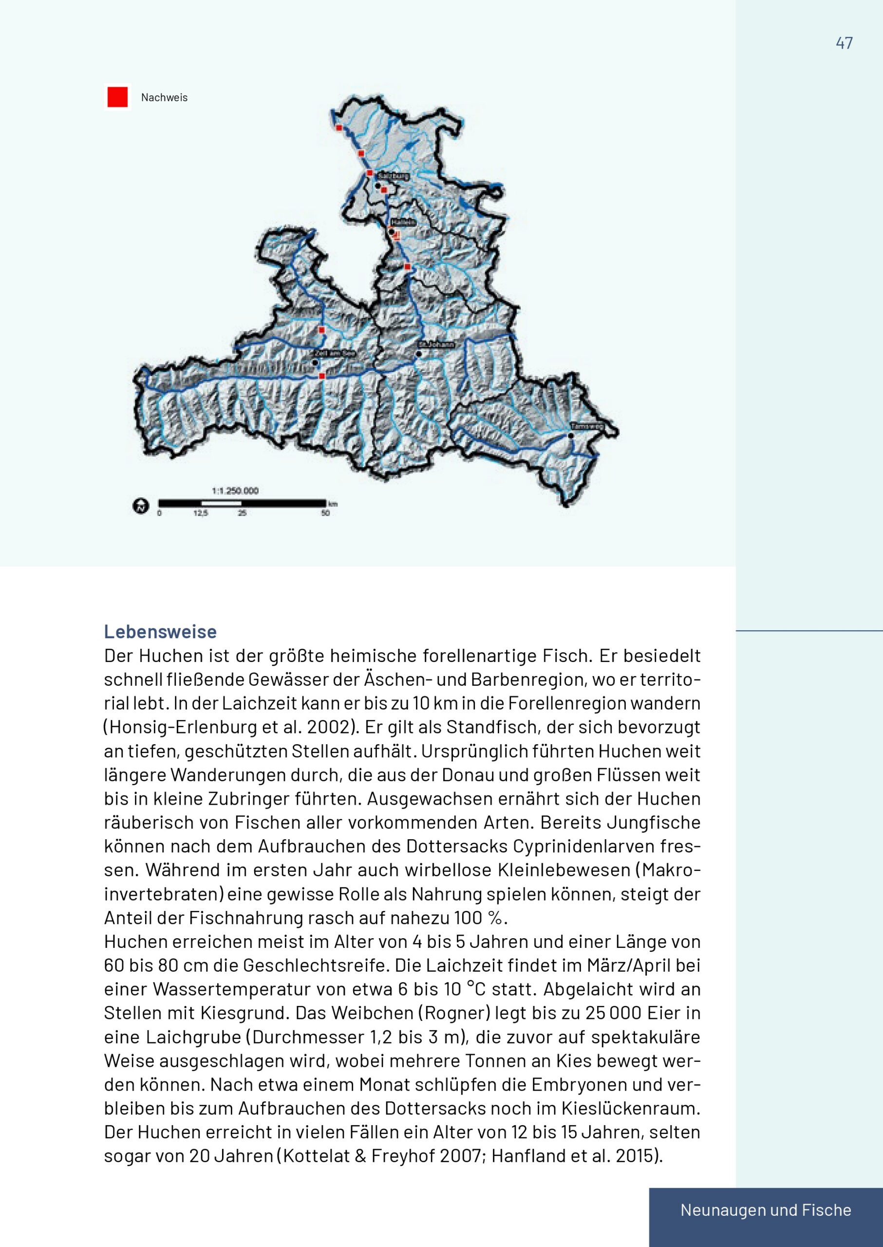 Buch Neunaugen, Fische, Flusskrebse und Großmuscheln in Salzburg