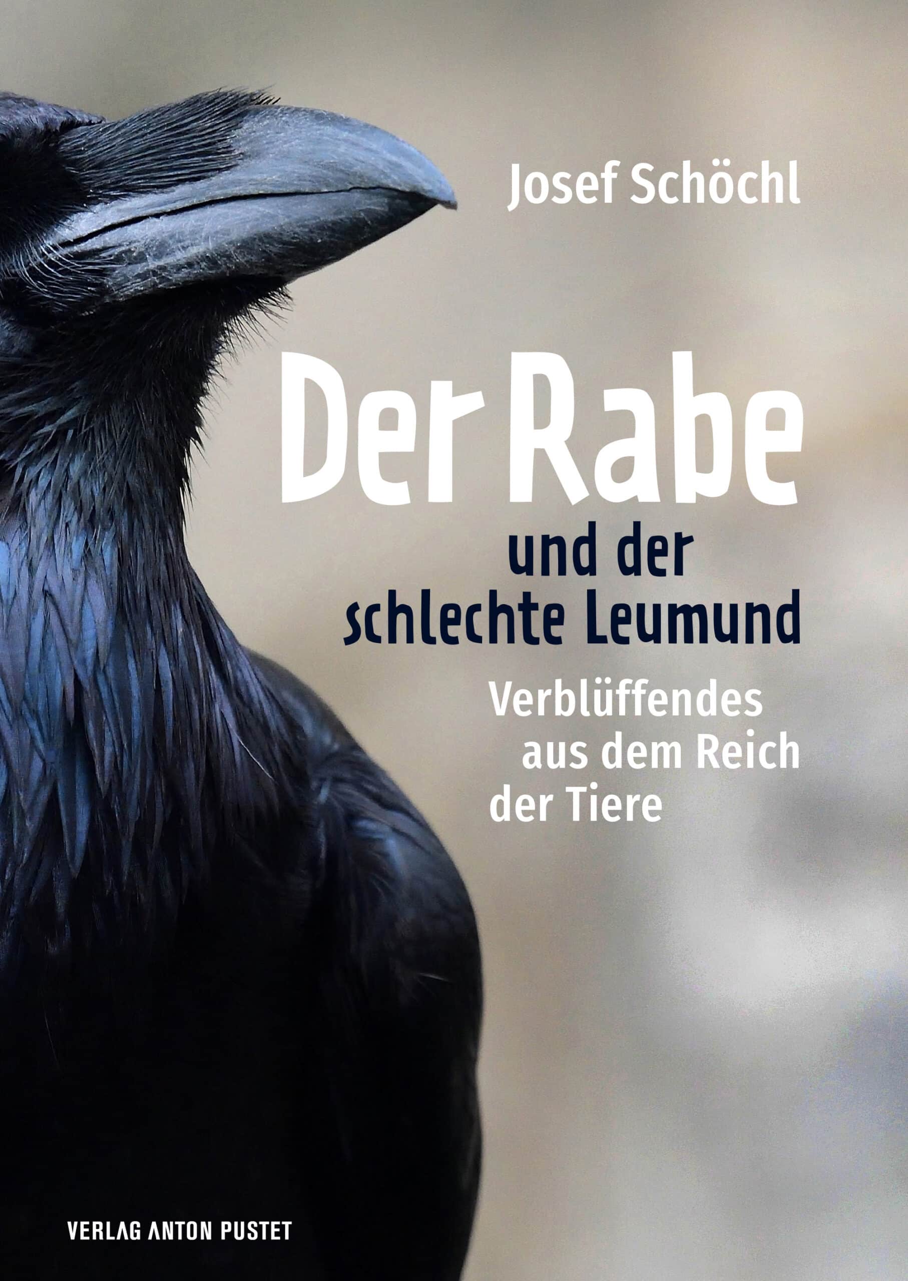 Literatur Fr&uuml;hst&uuml;ck &ldquo; Der Rabe und der schlechte Leumund&ldquo; mit Josef Sch&ouml;chl