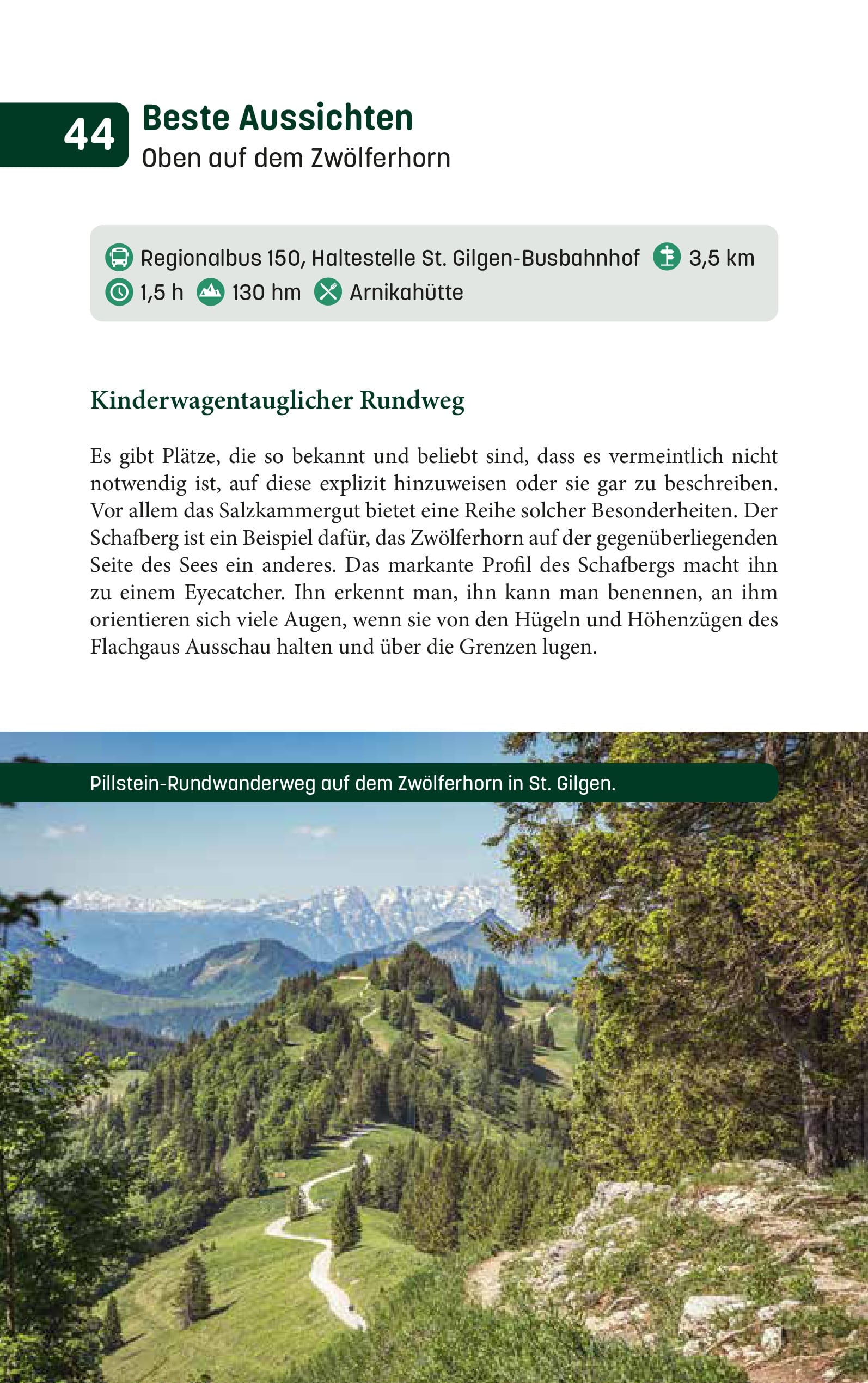 Taschenbuch Wandern mit Weitblick im Flachgau