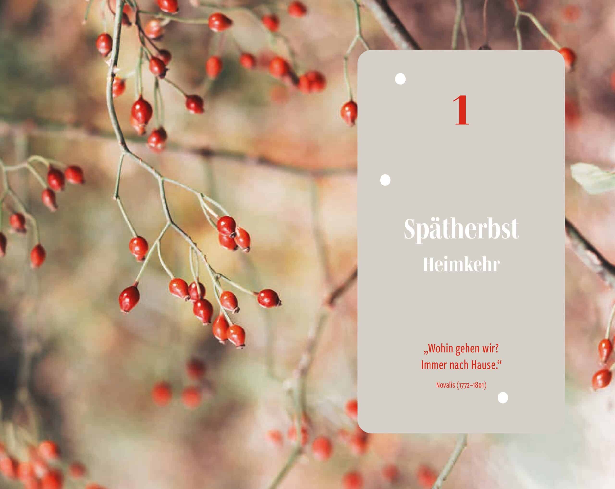 Hardcover Lieber Winter