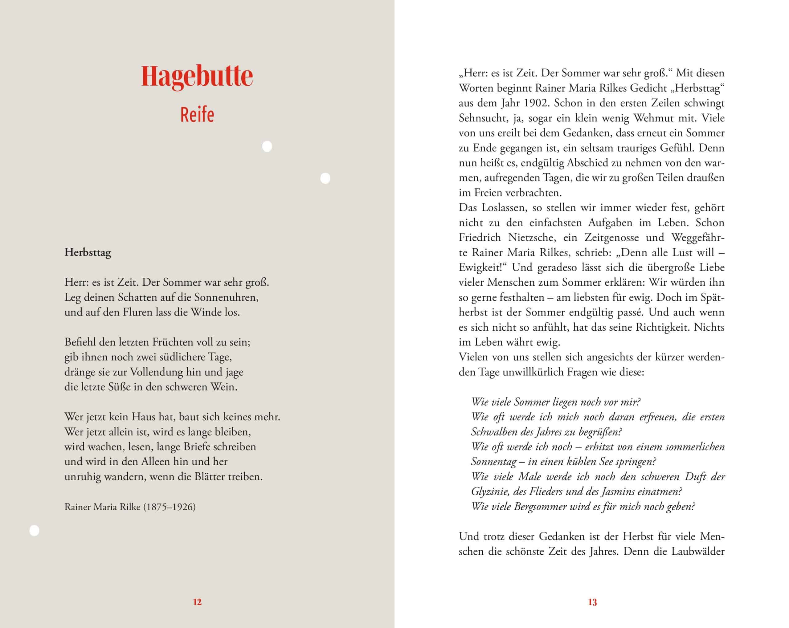 Hardcover Lieber Winter