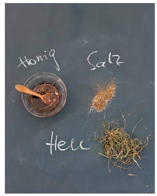 Hardcover Rose, Schwein & Feigenblatt