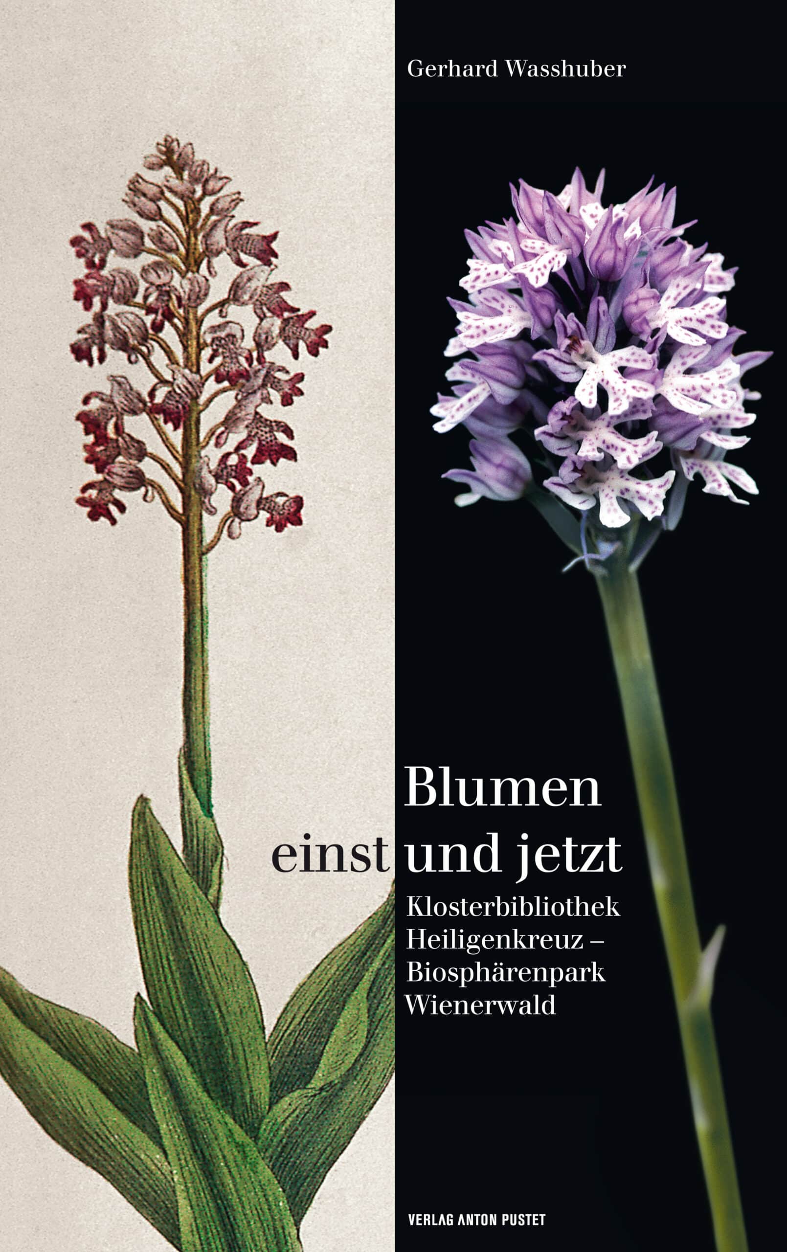 Buch Blumen einst und jetzt