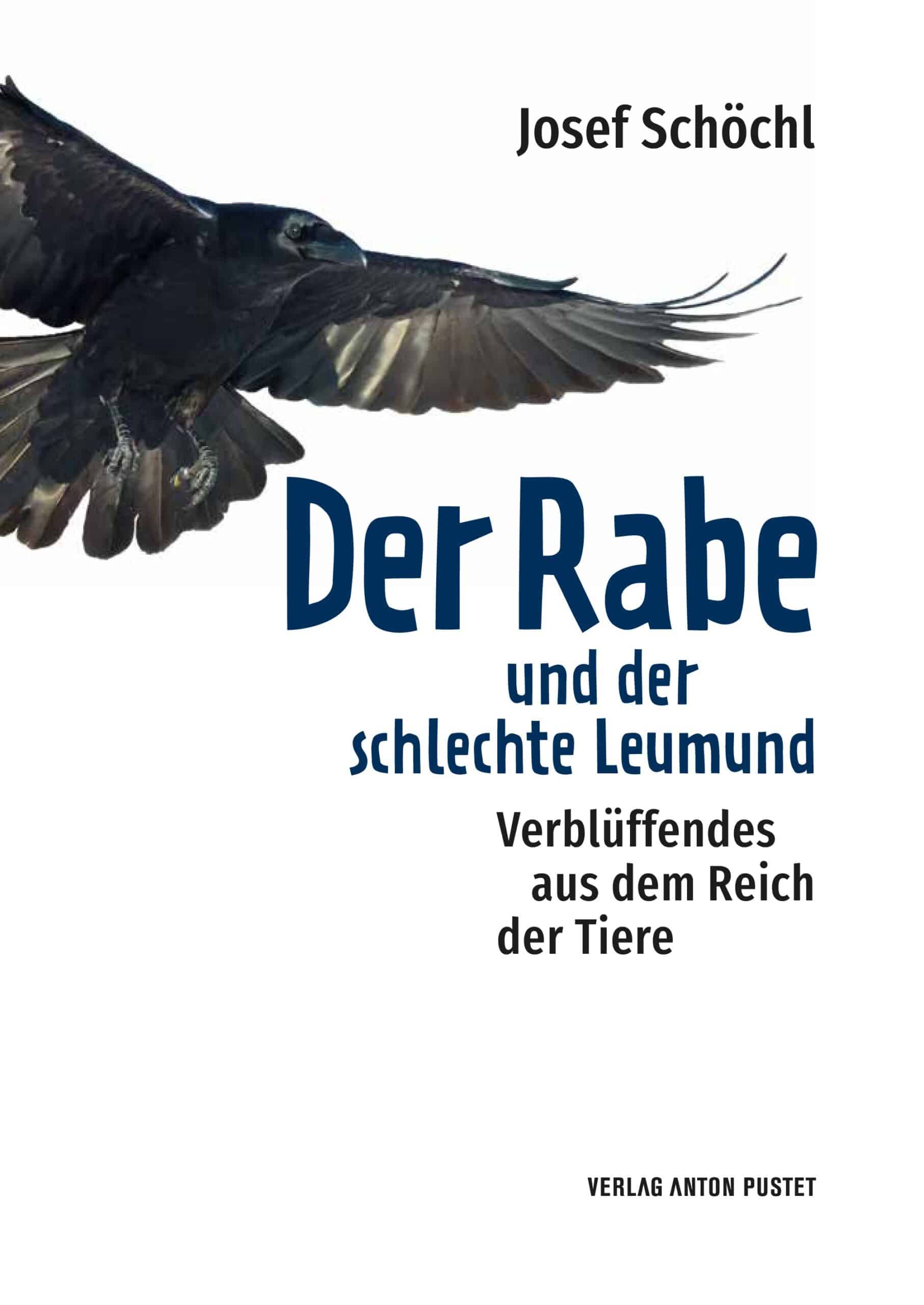 Buch Der Rabe und der schlechte Leumund