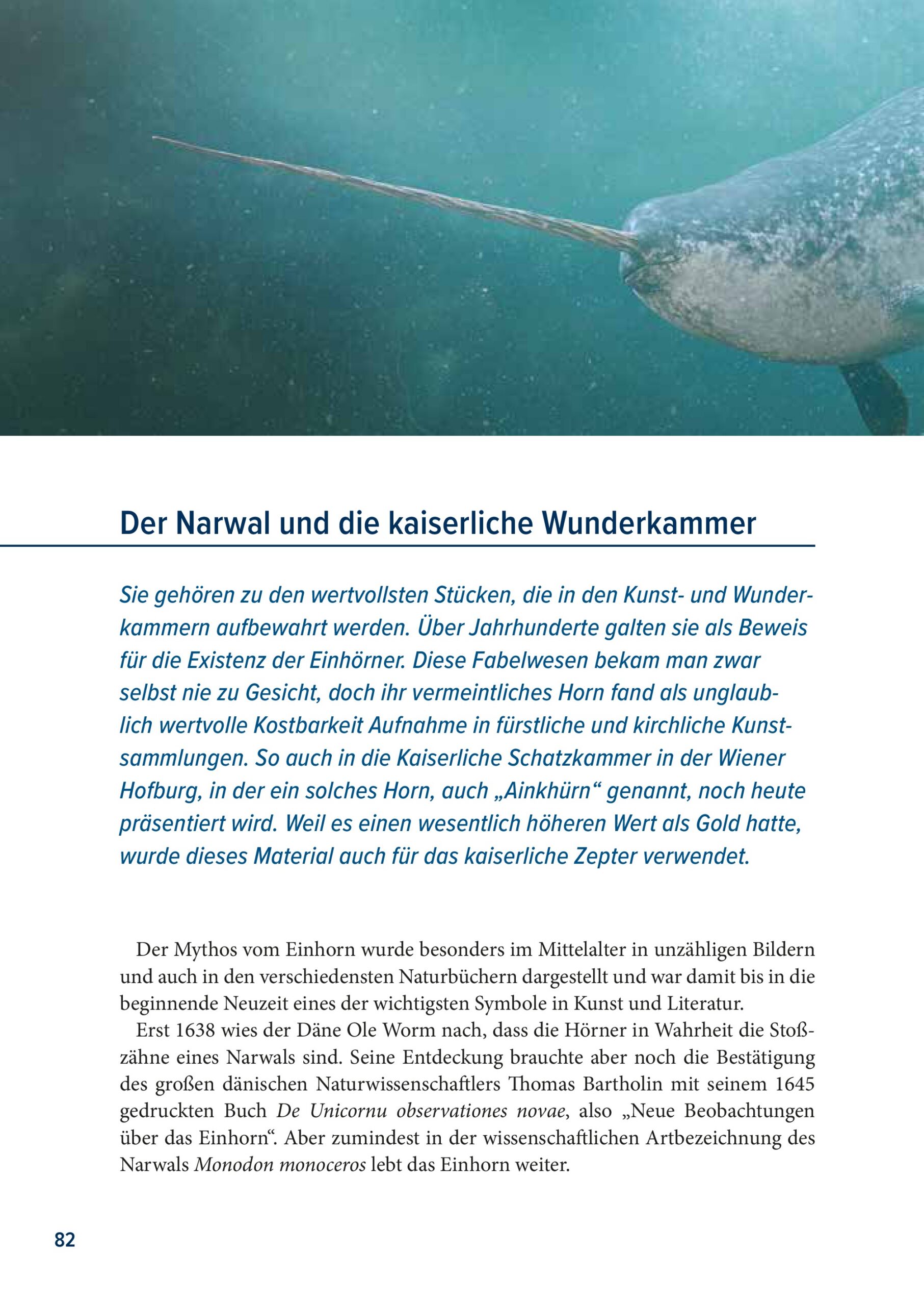 Buch Der Rabe und der schlechte Leumund