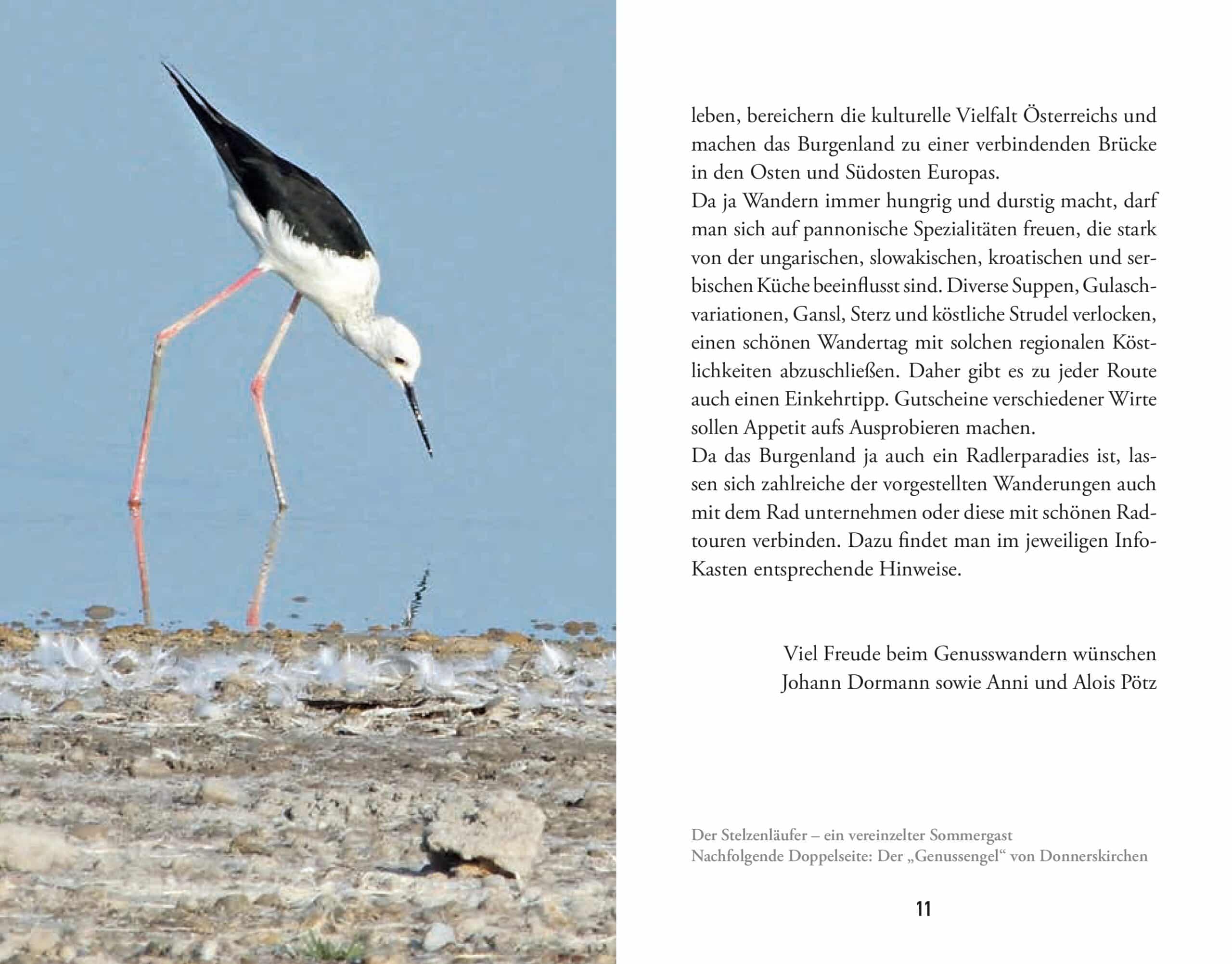 Taschenbuch Gehmütliches Burgenland