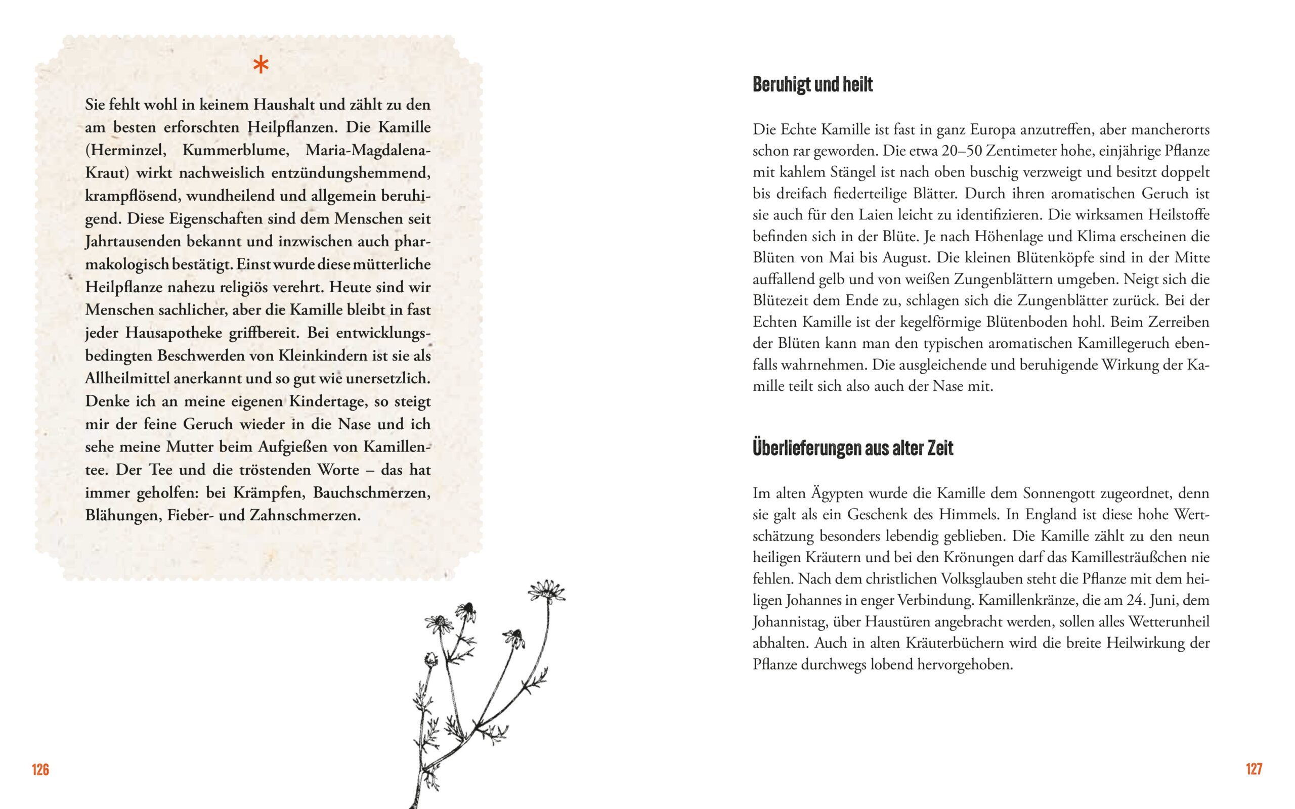 Hardcover Heilkräftiges aus der Natur