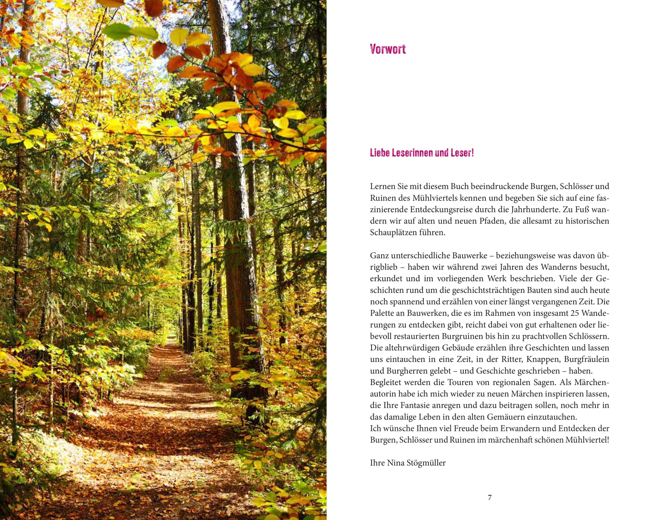 Buch Burgen, Schlösser und Ruinen