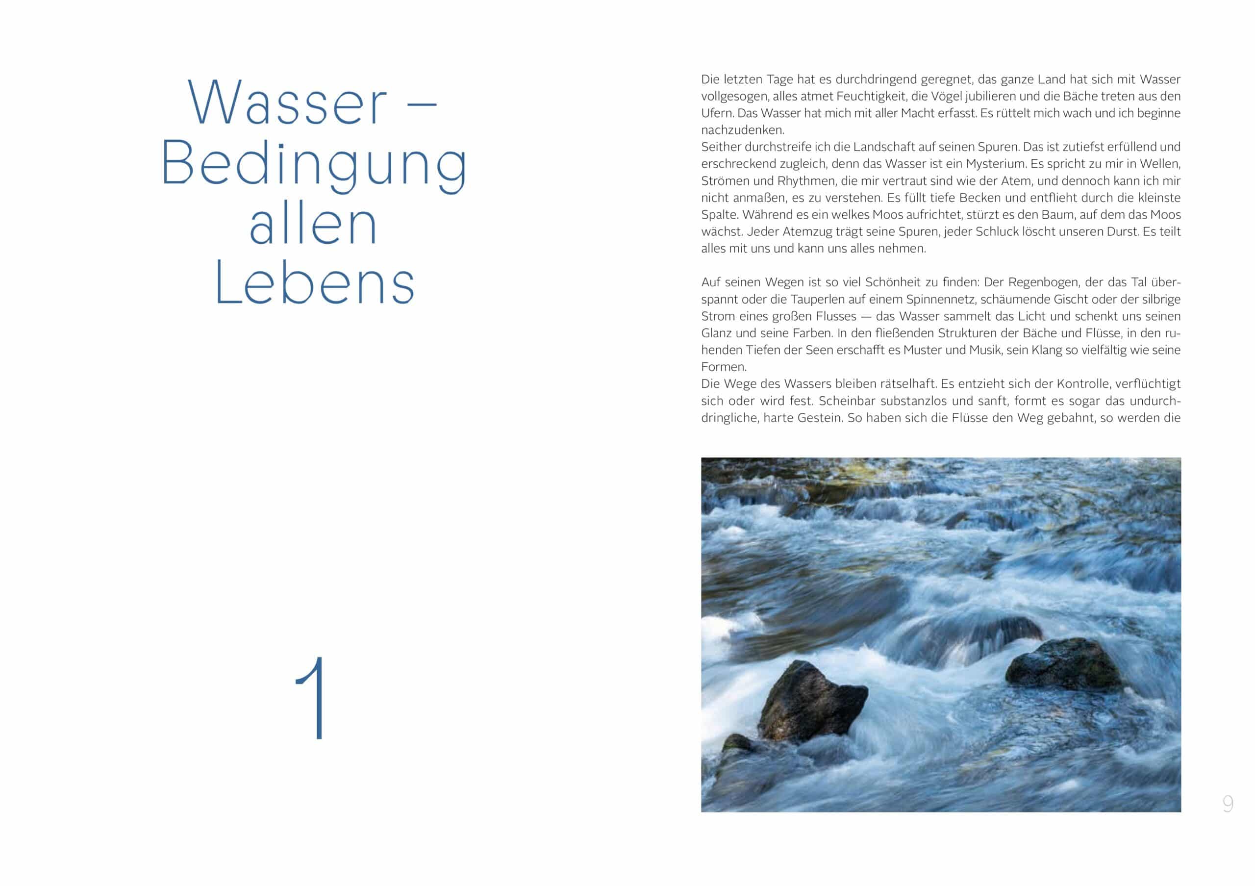 Buch Die Gaben des Wassers