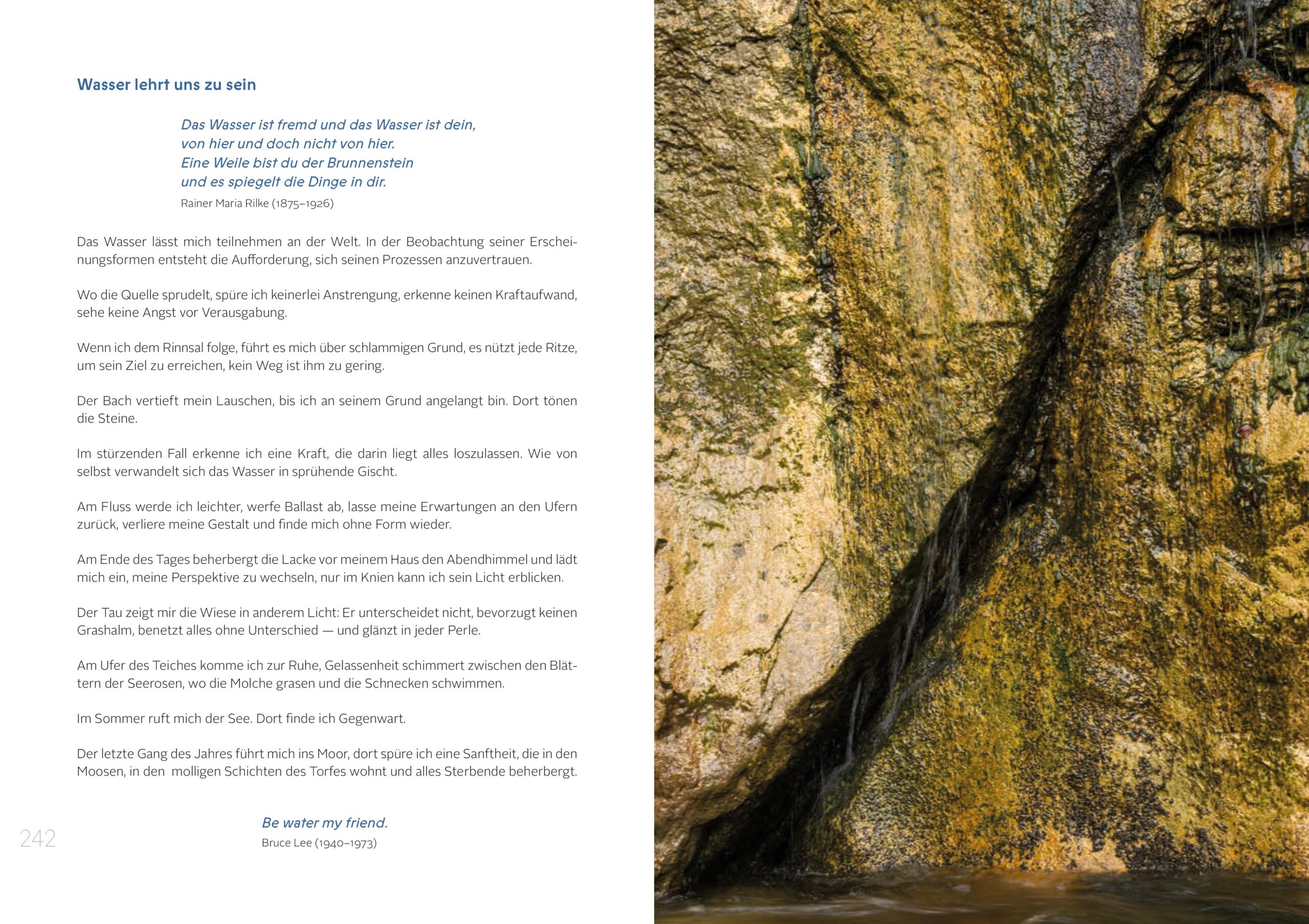 Buch Die Gaben des Wassers