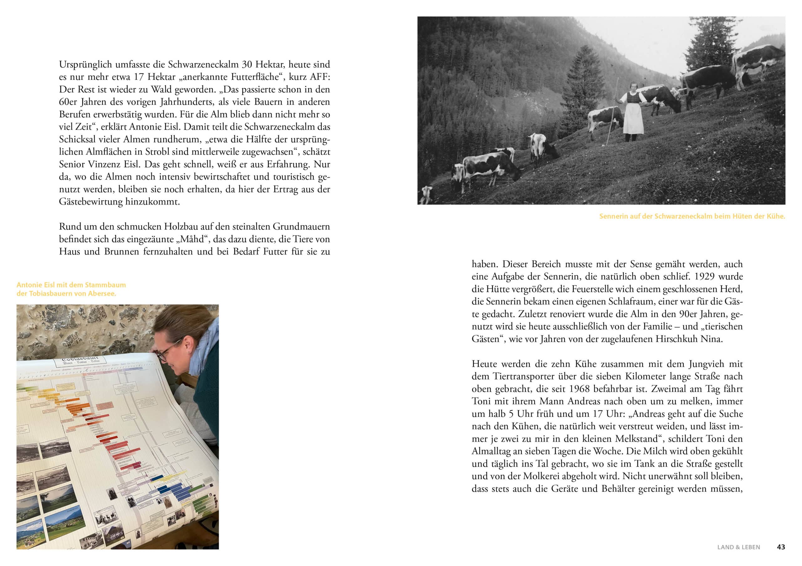 Buch Salzburger Bauern- und Bäuerinnenkalender 2027