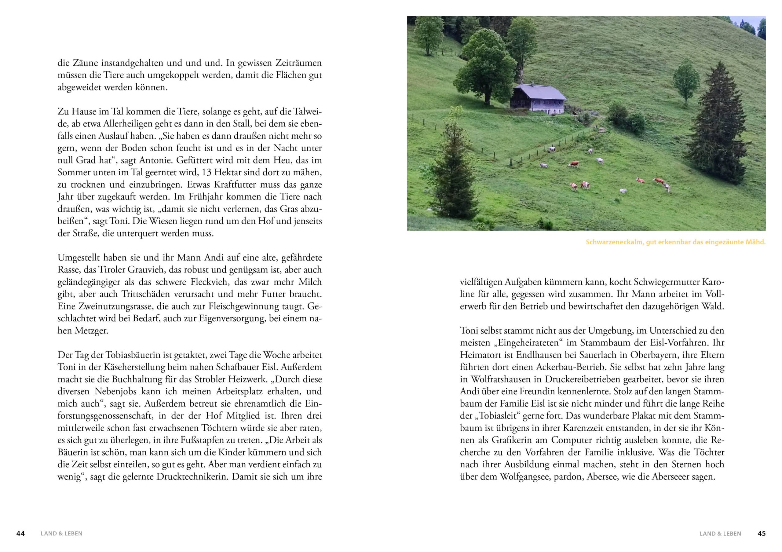 Buch Salzburger Bauern- und Bäuerinnenkalender 2027