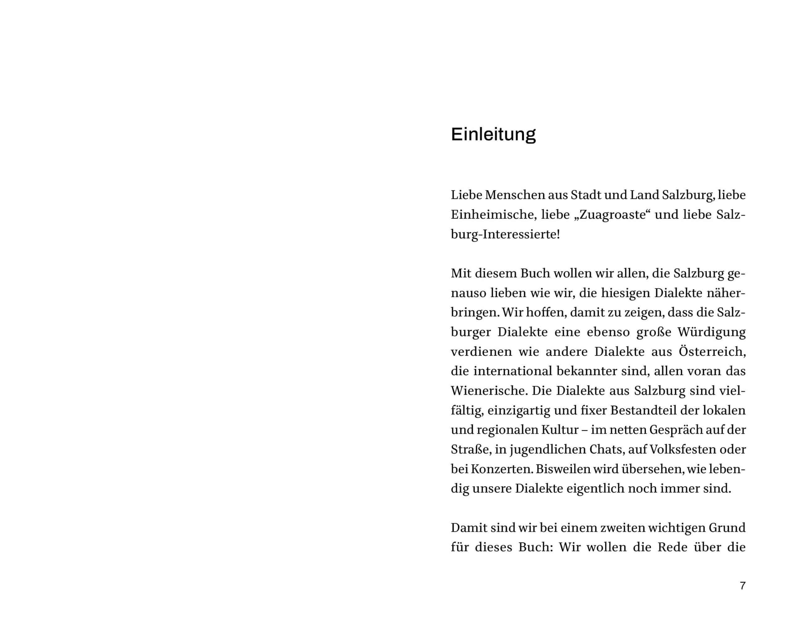 Buch How to speak Salzburgerisch