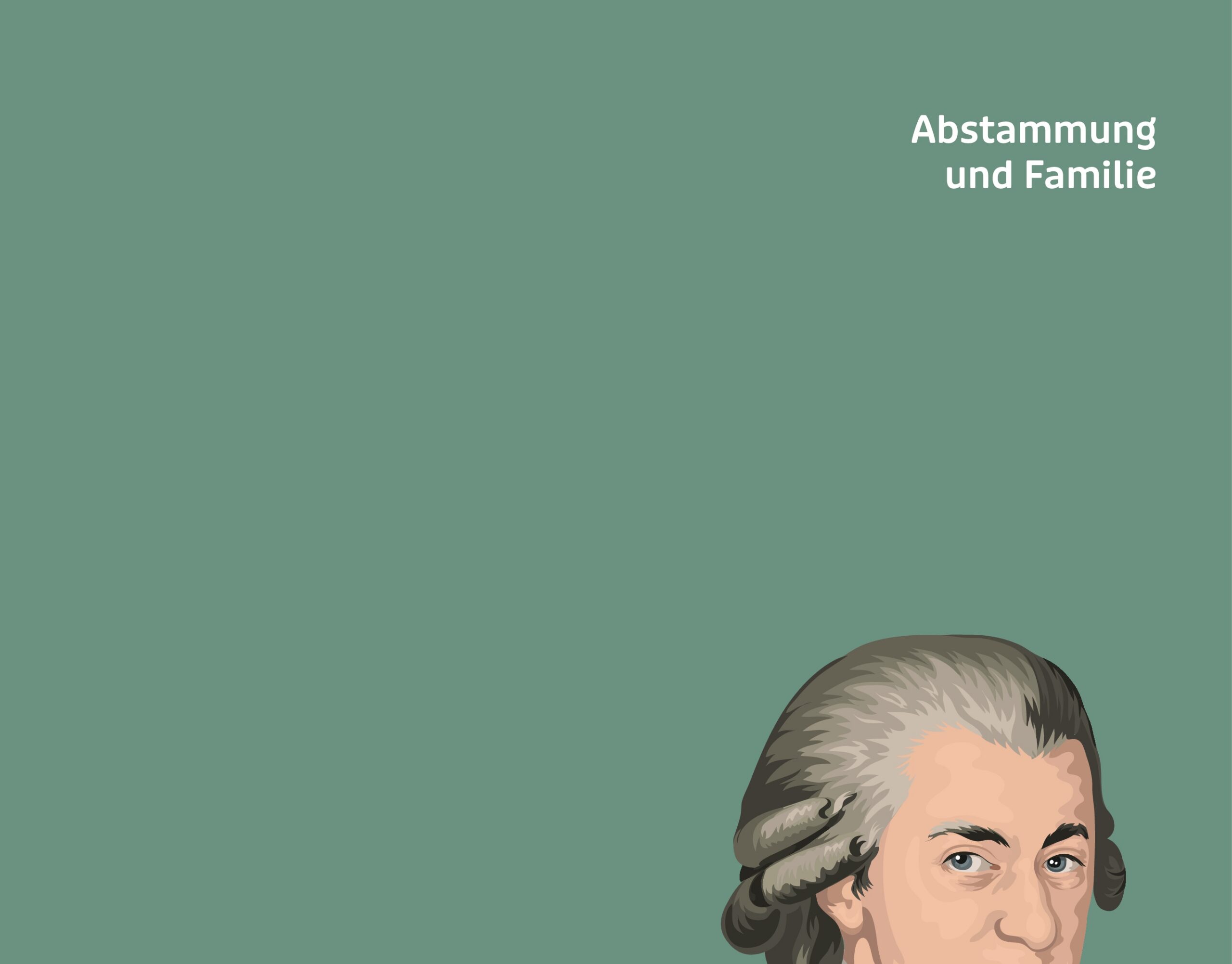 Taschenbuch 111 MAL MOZART